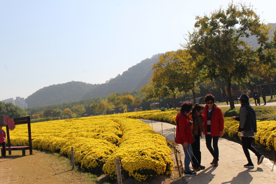 [크기변환]자원20191101-110549-305.JPG